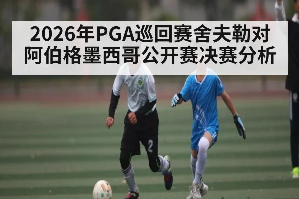 2026年PGA巡回赛舍夫勒对阿伯格墨西哥公开赛决赛分析